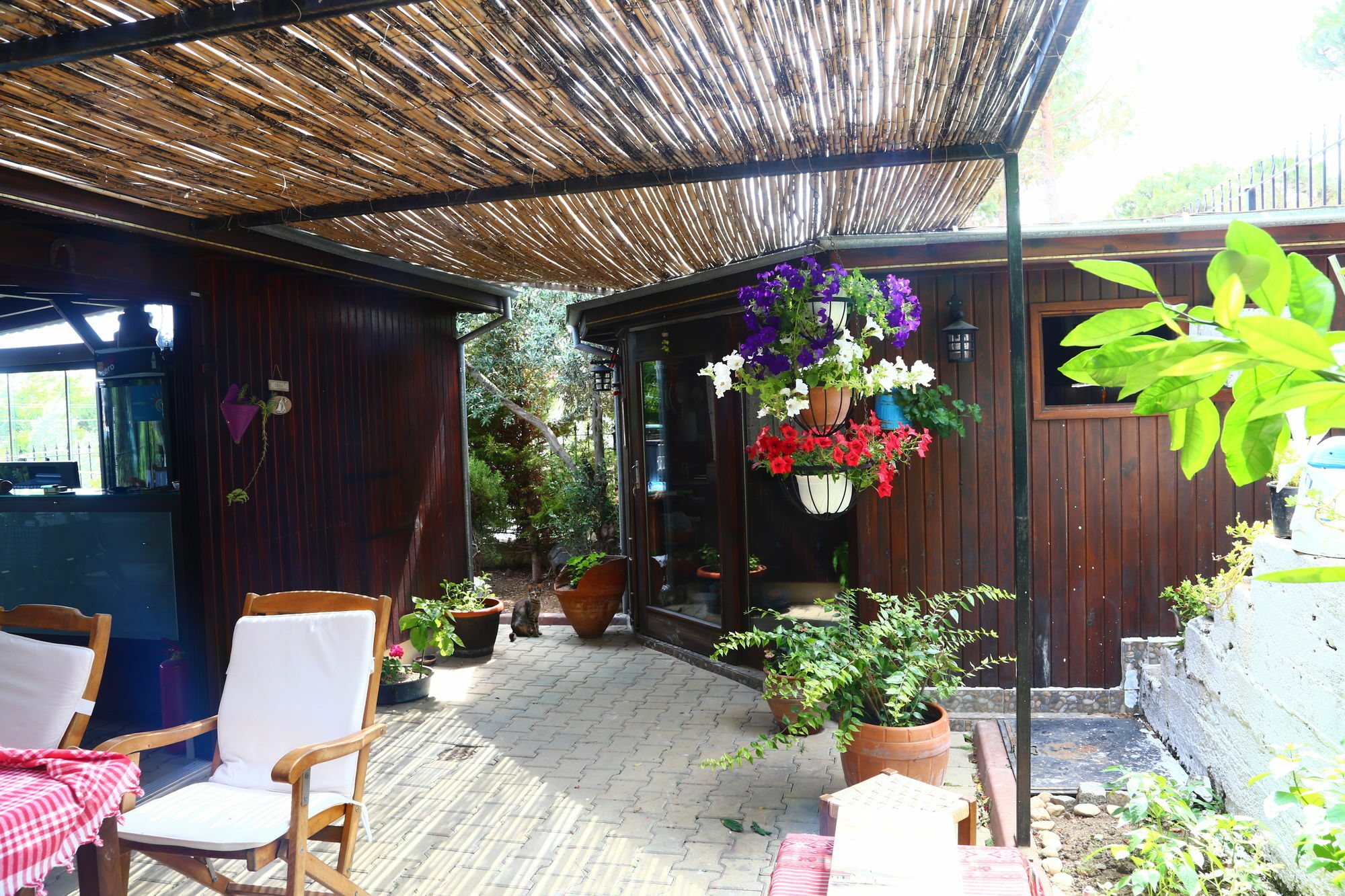 Guzelyali Hotel ไอวาลิค ภายนอก รูปภาพ
